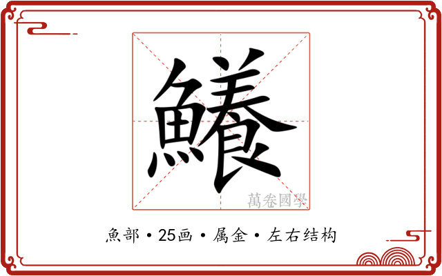 鱶