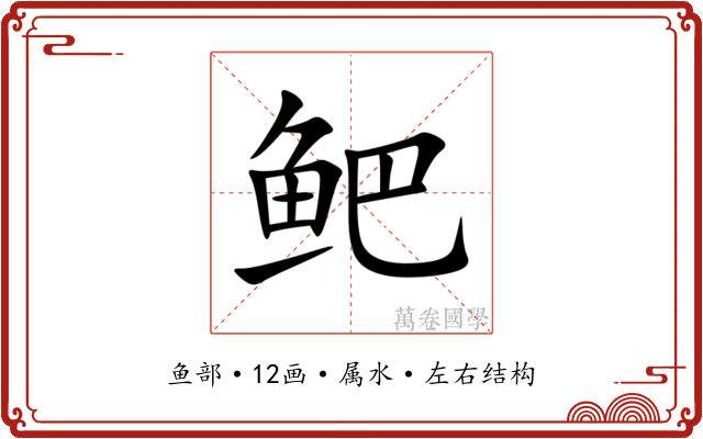 鲃