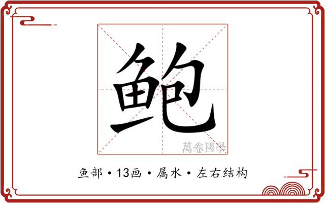 鲍
