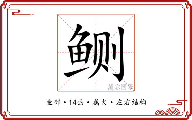 鲗