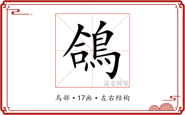 鴿