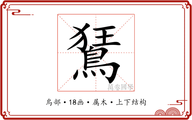 鵟