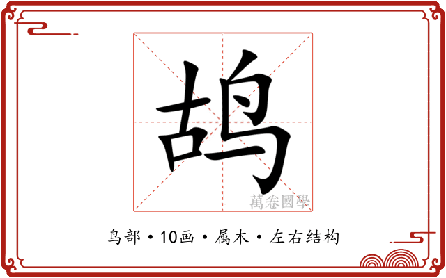鸪