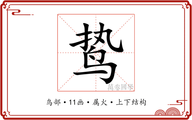 鸷