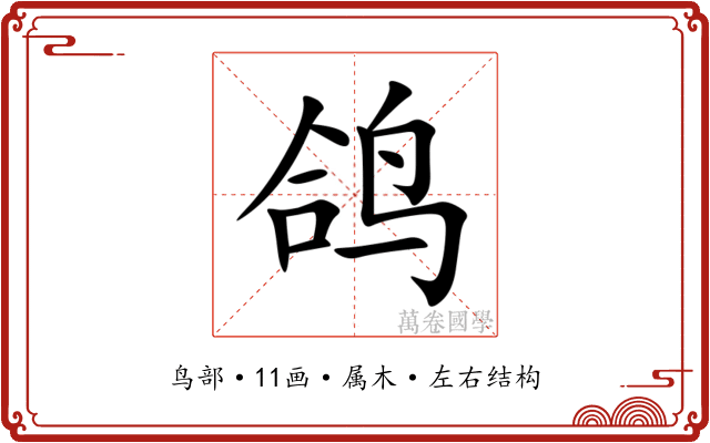 鸽