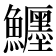 𩽦