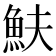 𩵩