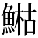 𩹬