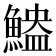 𫙬