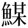 𩹮