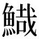 𩹯