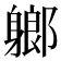 𨉰