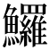 𩽰