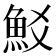 𩵲