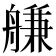 𦩵