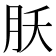 𬁷