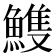 𩹹