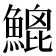𩹻