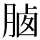 𣍽