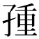 𡥿