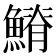 𩺀