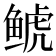 𩾇