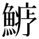 𩺋