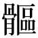 𩪍