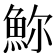 𩶗