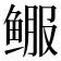 𬶚