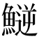 𩺝