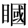 𥊞