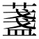 𦾟
