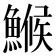 𩺟