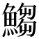 𩺥
