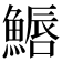 𩺦
