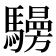 𩦧