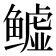 𬶬
