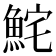 𩶱