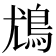 𩾵