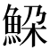 𩶹
