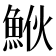 𩶻