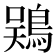 𫚾