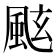 𩗁