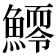 𩻆