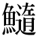 𩼂