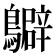 𪇊