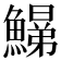 𩻋