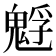 𩳎
