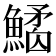 𩻎